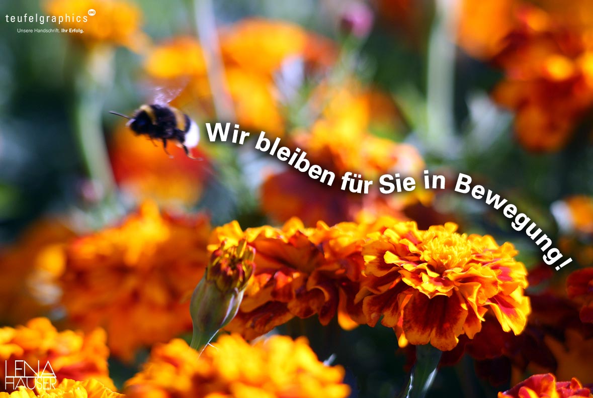 Newsletter Januar 2015