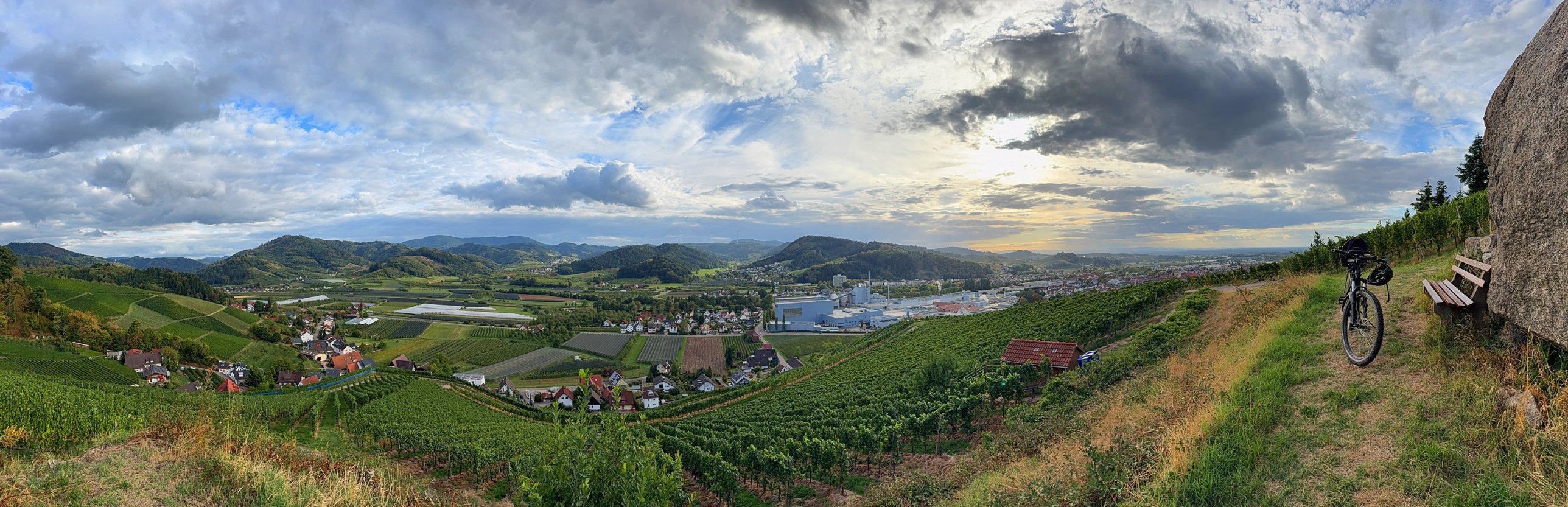 Panorama über die Weinberge bei Oberkirch ins Renchtal