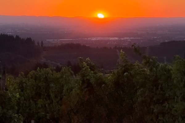 Kameras und Sonnenfilter im Einsatz