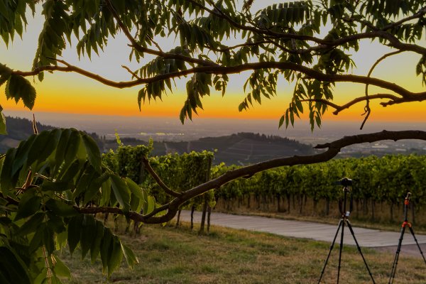Nach dem Sonnenuntergang: Blick über das Rheintal