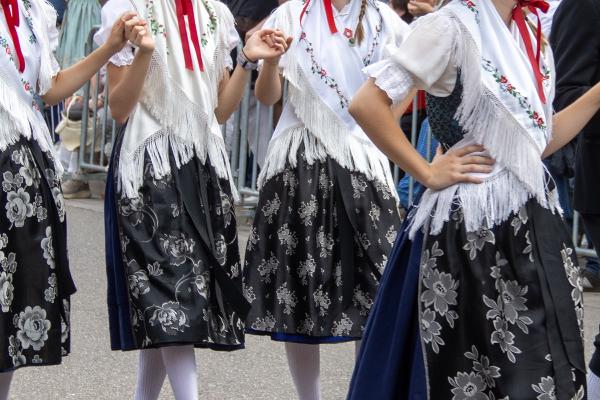 Landesfestumzug Oberkirch 13.09.2026