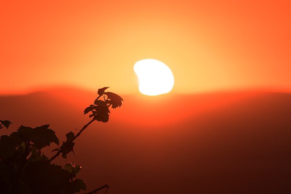 Untergang als Sichel – die Sonne verschwindet noch verfinstert