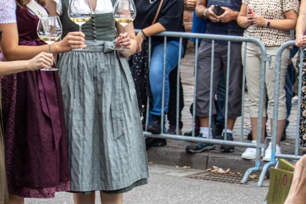 Landesfestumzug Oberkirch 13.09.2026
